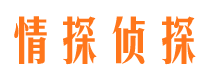 远安寻人公司